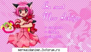 mew mew esti? uitatil meu